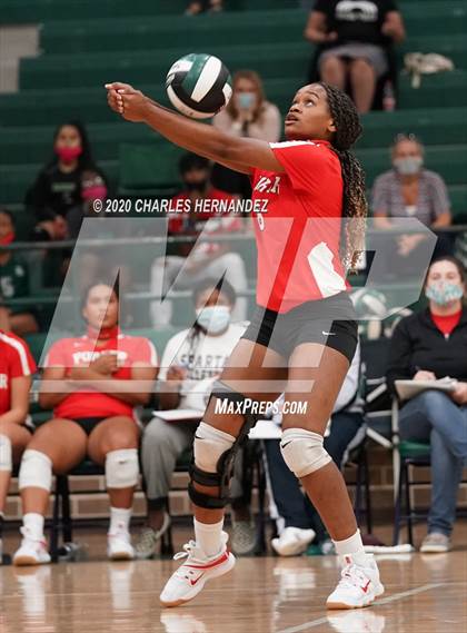 Thumbnail 1 in Porter vs Ellison [C.E.]  photogallery.