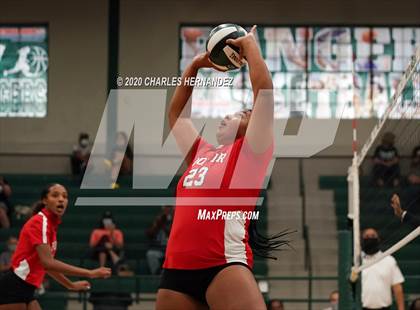 Thumbnail 3 in Porter vs Ellison [C.E.]  photogallery.