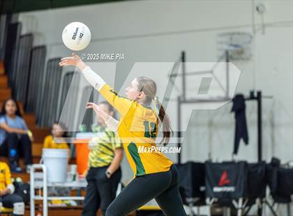 Thumbnail 3 in Lumberton @ Pine Forest photogallery.