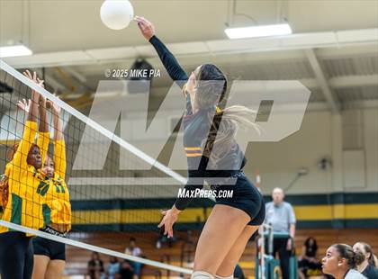 Thumbnail 1 in Lumberton @ Pine Forest photogallery.