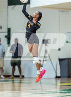 Photo from the gallery "Lumberton @ Pine Forest"