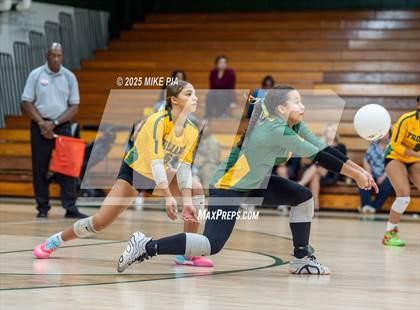 Thumbnail 2 in Lumberton @ Pine Forest photogallery.