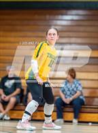 Photo from the gallery "Lumberton @ Pine Forest"