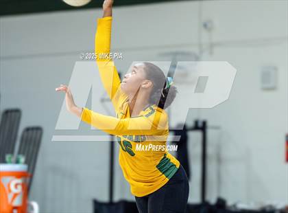 Thumbnail 2 in Lumberton @ Pine Forest photogallery.