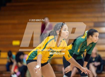 Thumbnail 1 in Lumberton @ Pine Forest photogallery.