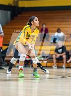 Photo from the gallery "Lumberton @ Pine Forest"