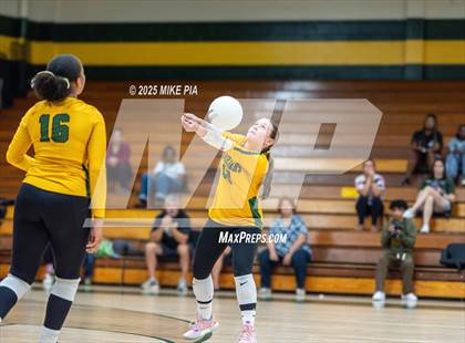 Thumbnail 3 in Lumberton @ Pine Forest photogallery.