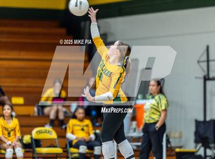 Thumbnail 1 in Lumberton @ Pine Forest photogallery.