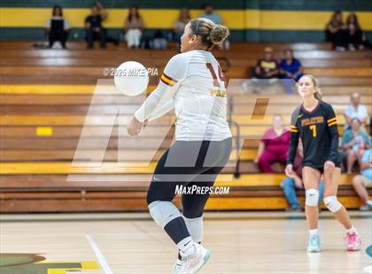 Thumbnail 2 in Lumberton @ Pine Forest photogallery.