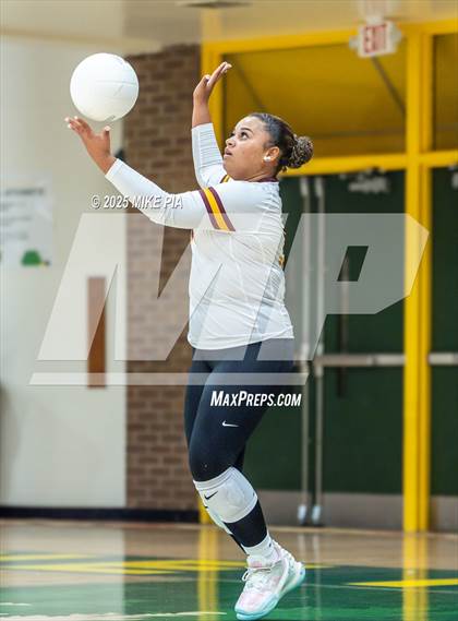 Thumbnail 1 in Lumberton @ Pine Forest photogallery.