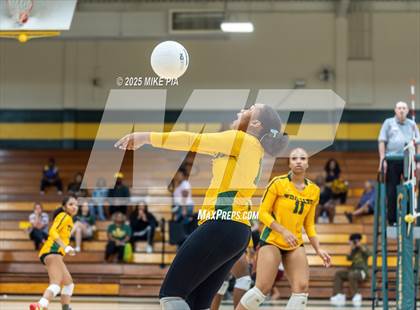 Thumbnail 1 in Lumberton @ Pine Forest photogallery.