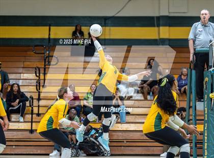 Thumbnail 3 in Lumberton @ Pine Forest photogallery.