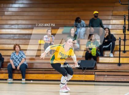 Thumbnail 1 in Lumberton @ Pine Forest photogallery.