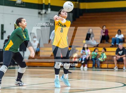 Thumbnail 2 in Lumberton @ Pine Forest photogallery.
