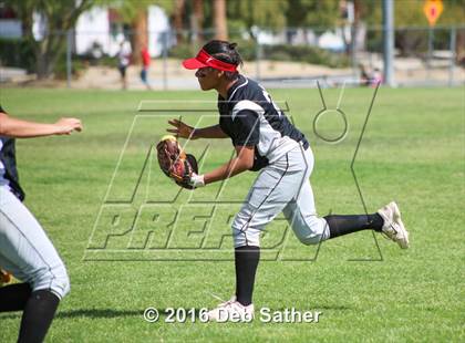 Thumbnail 3 in Palm Springs vs Palmdale photogallery.