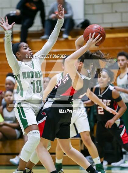Thumbnail 1 in Warde @ Norwalk photogallery.