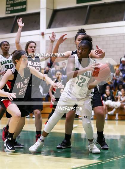 Thumbnail 1 in Warde @ Norwalk photogallery.