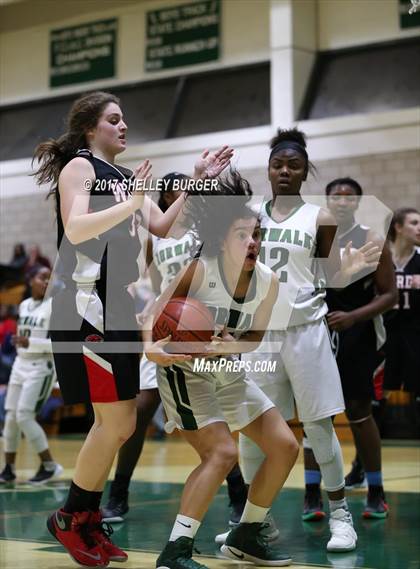 Thumbnail 3 in Warde @ Norwalk photogallery.