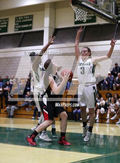 Thumbnail 2 in Warde @ Norwalk photogallery.