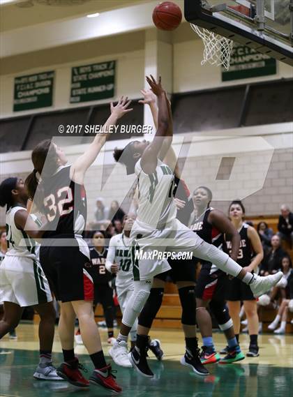 Thumbnail 1 in Warde @ Norwalk photogallery.