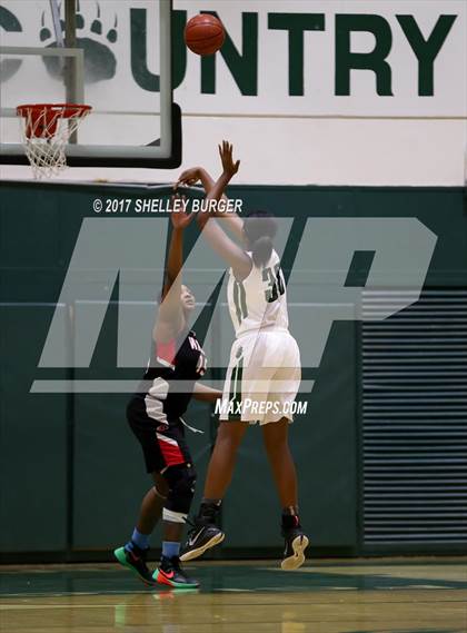 Thumbnail 1 in Warde @ Norwalk photogallery.