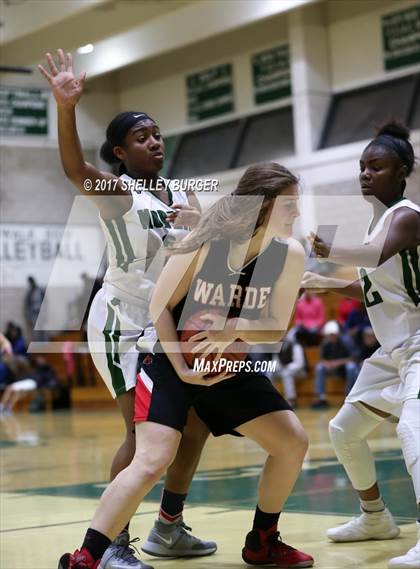 Thumbnail 1 in Warde @ Norwalk photogallery.
