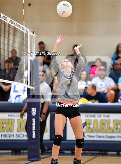Thumbnail 3 in White Oak @ New Diana JV photogallery.