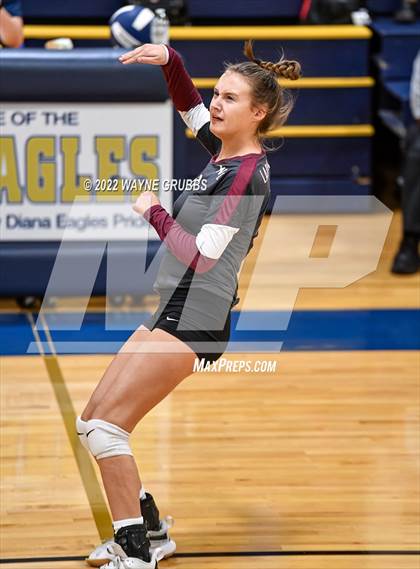 Thumbnail 2 in White Oak @ New Diana JV photogallery.
