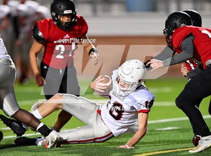 Thumbnail 3 in Gainesville @ Mineral Wells photogallery.