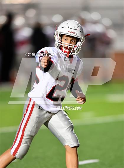 Thumbnail 1 in Gainesville @ Mineral Wells photogallery.