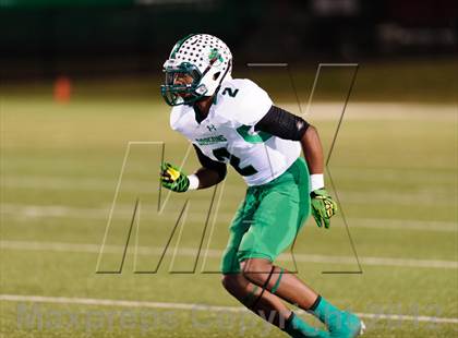 Thumbnail 3 in Carroll @ Haltom photogallery.