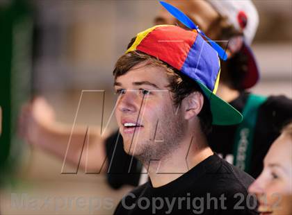 Thumbnail 3 in Carroll @ Haltom photogallery.