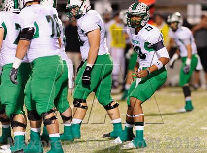Thumbnail 2 in Carroll @ Haltom photogallery.
