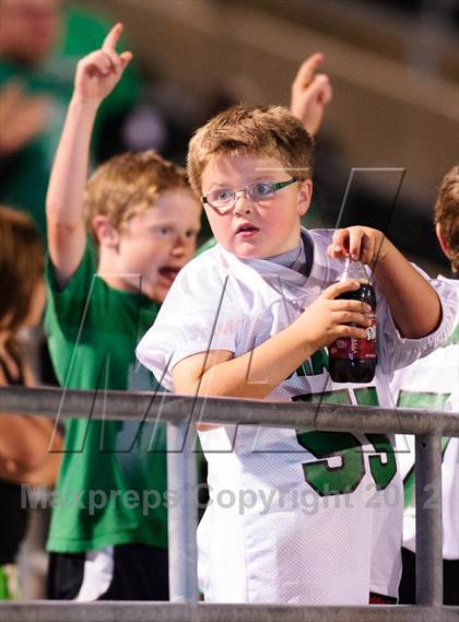Thumbnail 2 in Carroll @ Haltom photogallery.