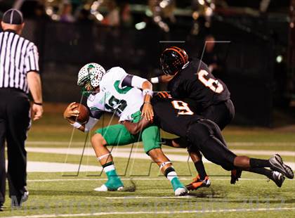 Thumbnail 3 in Carroll @ Haltom photogallery.