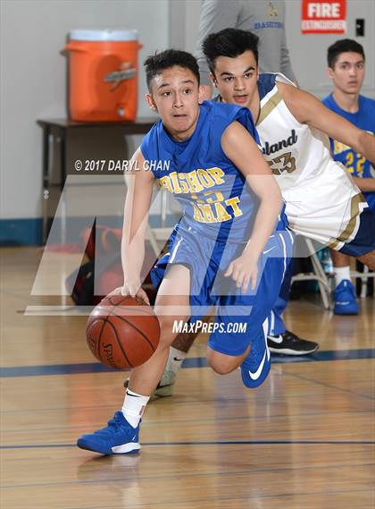 Thumbnail 1 in Bishop Amat vs Rowland (Baldwin Park Tournament) photogallery.