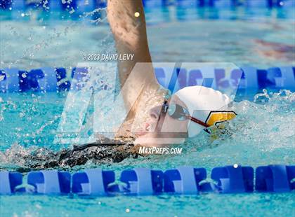Thumbnail 1 in AIA D1 Swim Finals photogallery.