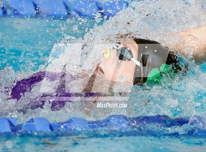 Thumbnail 1 in AIA D1 Swim Finals photogallery.