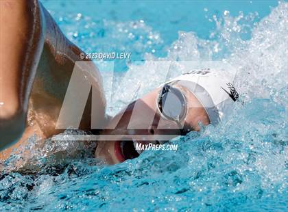 Thumbnail 1 in AIA D1 Swim Finals photogallery.