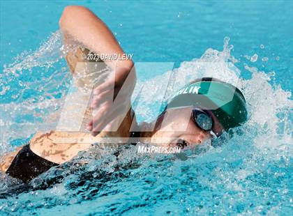 Thumbnail 2 in AIA D1 Swim Finals photogallery.