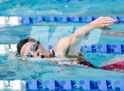 Thumbnail 2 in AIA D1 Swim Finals photogallery.