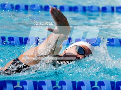 Thumbnail 3 in AIA D1 Swim Finals photogallery.