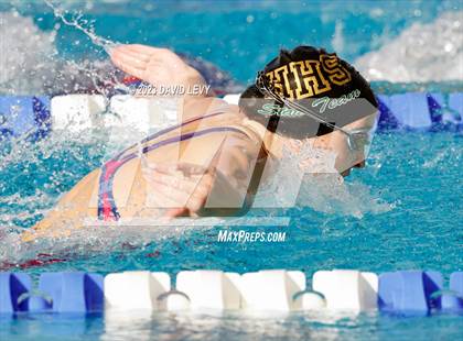 Thumbnail 1 in AIA D1 Swim Finals photogallery.