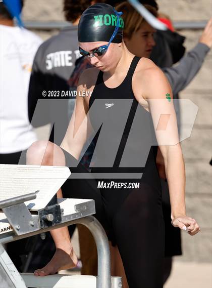 Thumbnail 1 in AIA D1 Swim Finals photogallery.