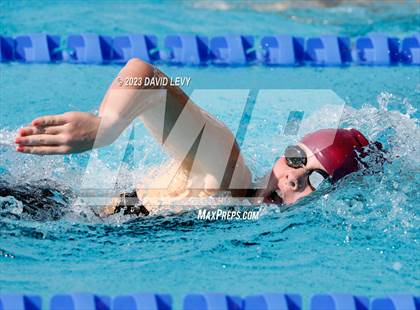 Thumbnail 1 in AIA D1 Swim Finals photogallery.