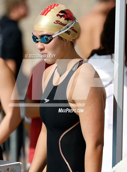 Thumbnail 2 in AIA D1 Swim Finals photogallery.