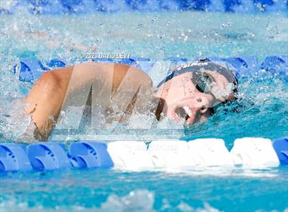 Thumbnail 1 in AIA D1 Swim Finals photogallery.