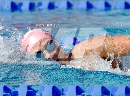 Thumbnail 1 in AIA D1 Swim Finals photogallery.