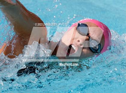 Thumbnail 1 in AIA D1 Swim Finals photogallery.