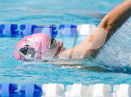 Thumbnail 1 in AIA D1 Swim Finals photogallery.